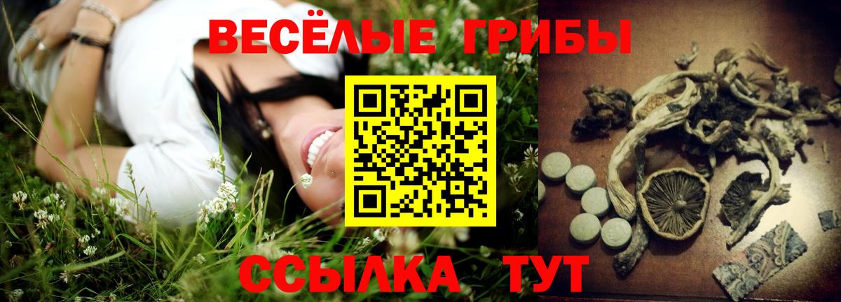 Псилоцибиновые грибы ЛСД Ногинск